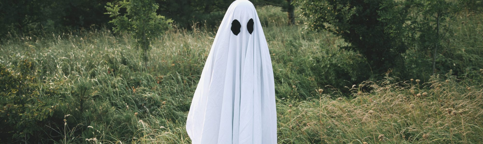Small white ghost. ghost in a field