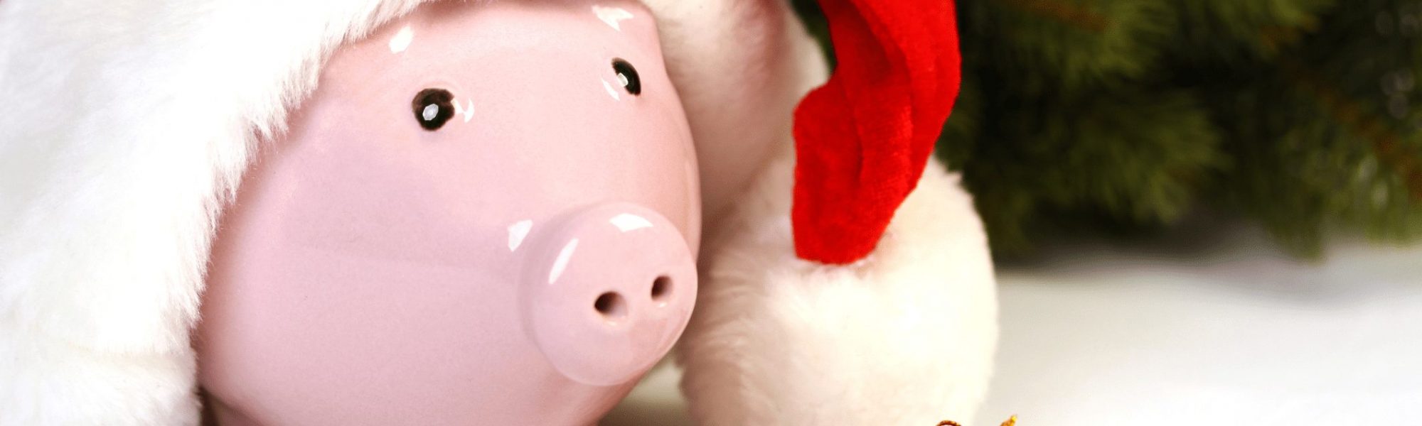 image Piggy bank with santa hat
